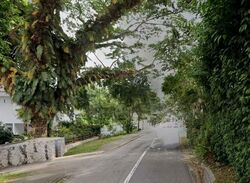 Turf Club Road (D11), Detached #609051541